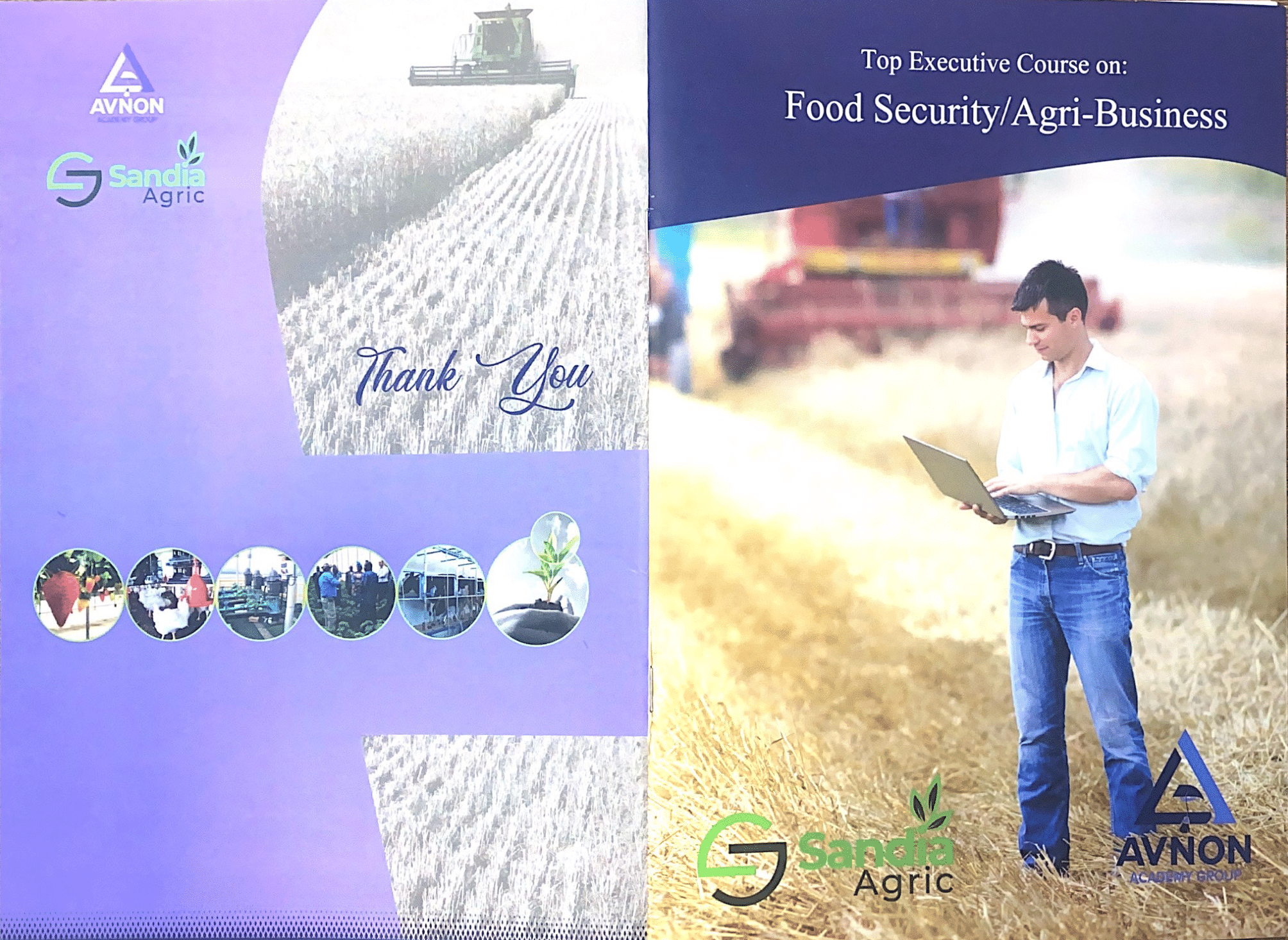 Leverage agile frameworks to provide