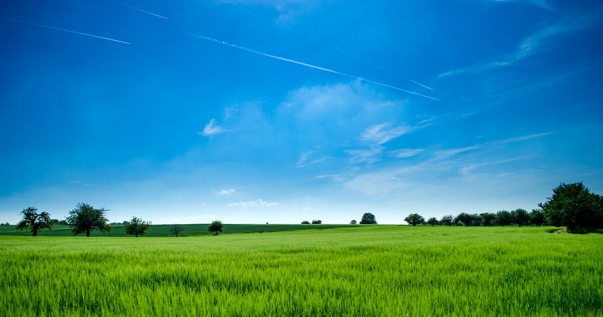 Leverage agile frameworks to provide